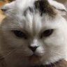 ゆん's profile picture