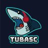 tubaraumsc's profile picture