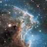 Starlight G profil fotoğrafı
