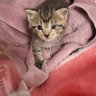 あみ🍀💕 profil fotoğrafı