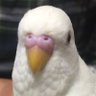Фото профиля なな★転倒虫