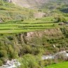 نجیب اللہ profil fotoğrafı