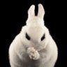 Profilbild von PrimeG
