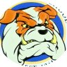 Max the bulldog profil fotoğrafı