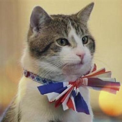 yuta2012's profile picture