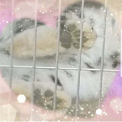 yuki1213yuki_xx's profile picture