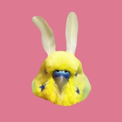 おかゆとかいぬし's profile picture