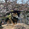 ひさみ 的头像