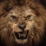 Фото профиля Righteous Lion 🦁