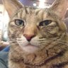 Profilbild von 餅