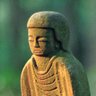 Profilbild von gyubadoji