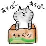 Profilbild von me_me_hitsuji