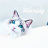 Profilbild von Cloudy886