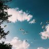 Фото профиля عبدالمجيد الحربي