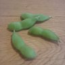 Edamame profil fotoğrafı