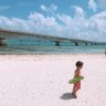 えり 的头像