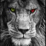 Aslan14278 profil fotoğrafı