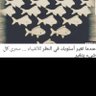 Profilbild von حياتنا حلم ليل 🐎