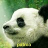 Profilbild von Carlos Jorge