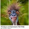 Profilbild von Margo Fulz