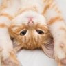 A N E R T A profil fotoğrafı