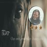 .DS.c Haggag فارس بلا جواد's profile picture