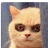 Eventuaryherrit's profile picture