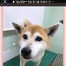 るびぃまま profil fotoğrafı