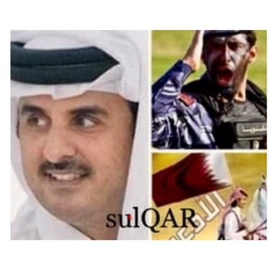 sulQAR's profile picture