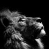 Azooz⚡️'s profile picture