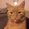 lunkuchu 😈 profil fotoğrafı