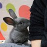 maymay🐰miro 的头像