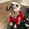 ryder's profile picture