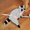 Luchiano Raccoon 的头像