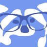 * le raccoon's profile picture