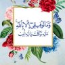 أم غلا 的头像