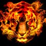 Fire Tiger profil fotoğrafı
