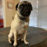 Jay-Q's profile picture