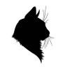 のらねこ's profile picture