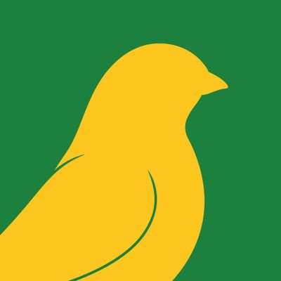 Canary Cast's profile picture