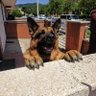 O.A.E profil fotoğrafı