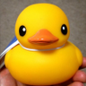 ベーグルちゃん🐥´-'s profile picture