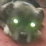 Profilbild von Arthur76