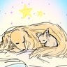 Profilbild von かまぼこ