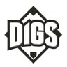 Фото профиля Pitcher DIGS