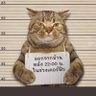 Фото профиля だいちゃん