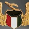 ﮼ابن ﮼الكويت's profile picture