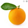 Profilbild von mate cocido