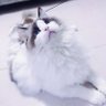 PeterY's profile picture