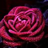 Фото профиля samar